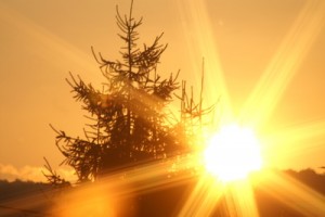solarstrom-guenstigste-stromquelle