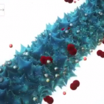 Biologische Batterie
