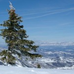 energiewende-usa-aspen