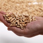 german-pellets-insolvenz