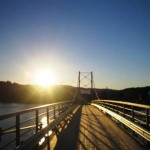 norwegen-2025-elektroautos-zulassen