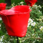 cyborg-rose-stromspeicher