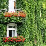 fassaden-stickoxide-feinstaub