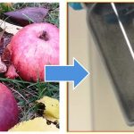 batterieforschung-organische-elektroden