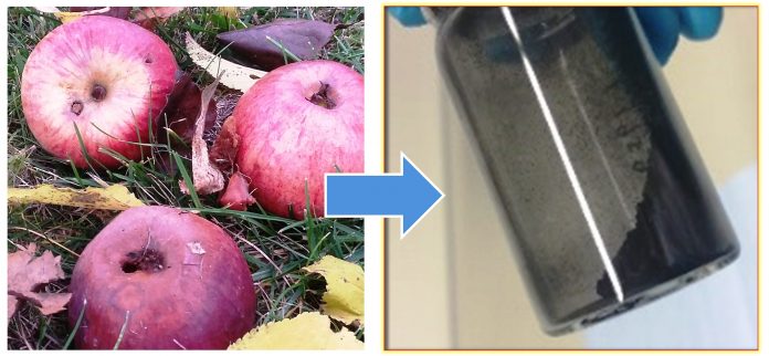 batterieforschung-organische-elektroden