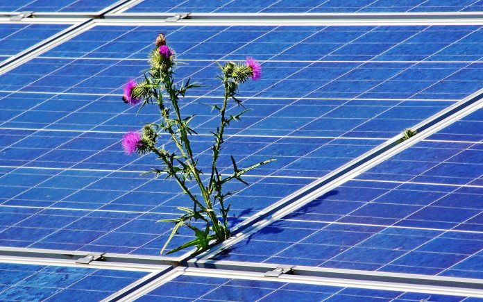 leistungsabfall-solarzellen