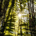 klimawandel-indien-china