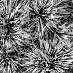 zinn-superkondensator