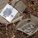 kompostierbarer-mini-kondensator