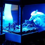 solarzellen-wirkungsgrad-qcells