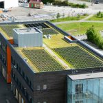 Green roof in Oslo with vertical solar panels